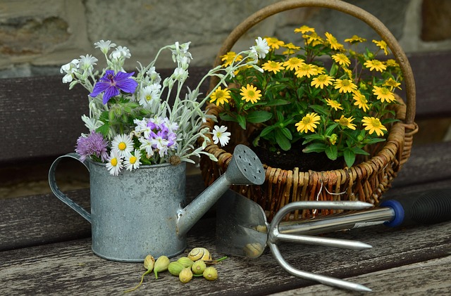 gardening essentials toolkit with pruning shears watering can gloves and plant labels on wooden table